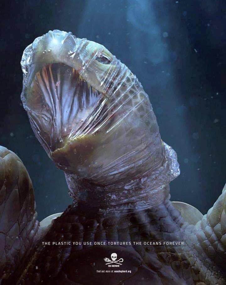 It's just a straw ... It's just a bag ... It's just a mug ... It's only 7.5 billion people ...
#Save_nature

#save_wildlife