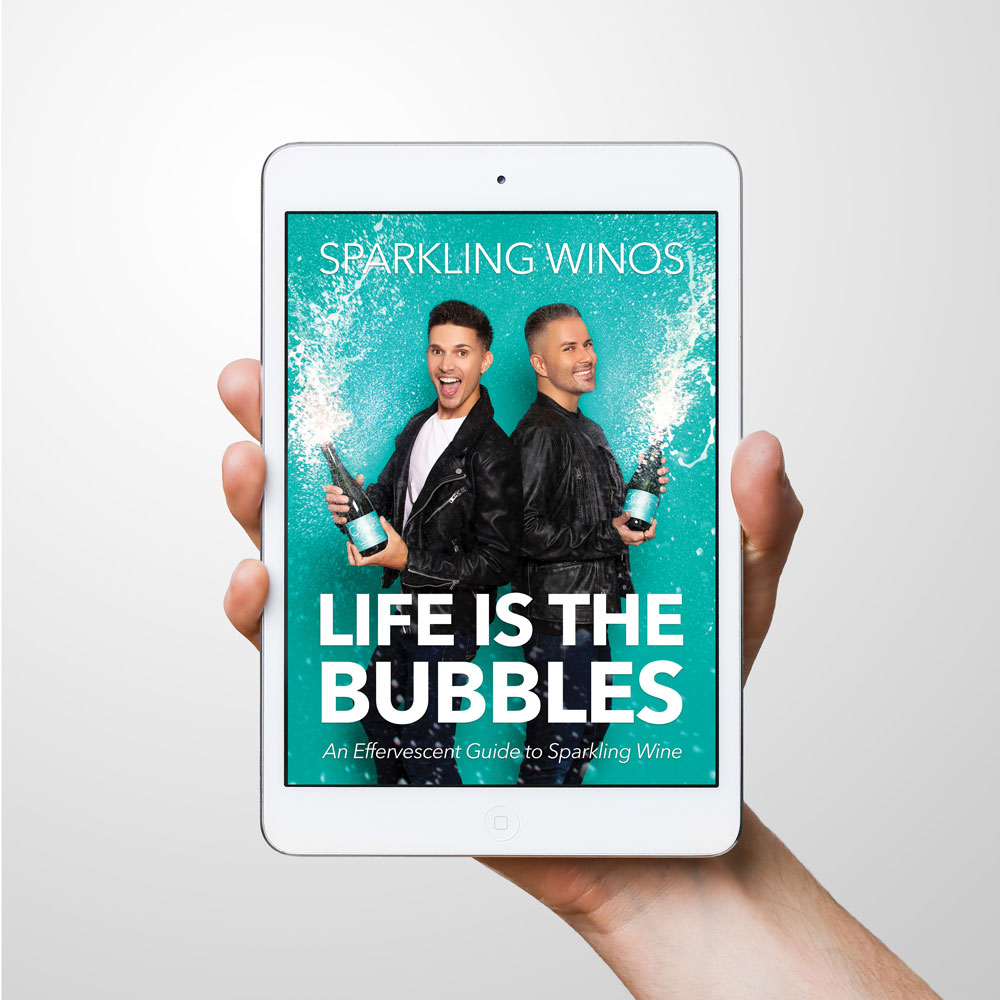 Get #LifeIsTheBubbles delivered directly to your iPad or Kindle at midnight tonight for only $10! ☺️🥂📱 sparklin.wine/ebook