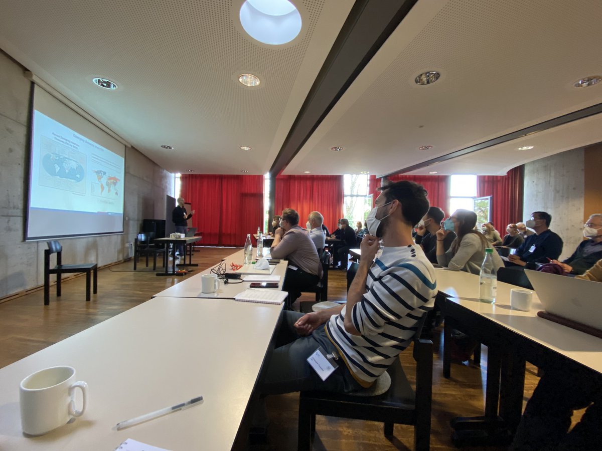 Scheu_Lab tweet media