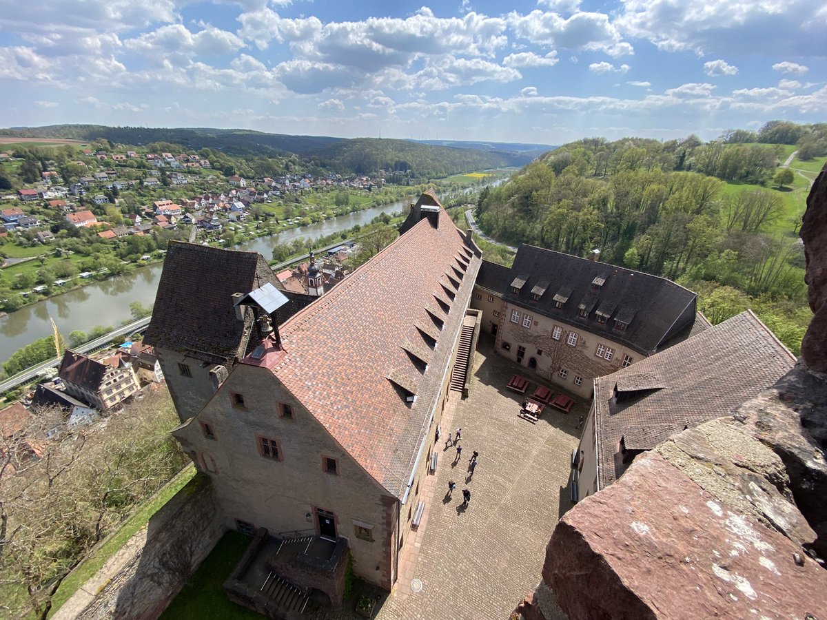 Scheu_Lab tweet media