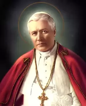 Thewarning9's tweet photo. "The greatest obstacle in the apostolate of the Church is the timidity or rather the cowardice of the faithful."

Saint Pius X https://t.co/mxJuLxKzcn