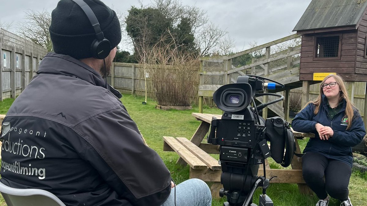 PageantFilming's tweet image. We have some great projects lined up for the coming months and look forward to working with @MagnaHousing , @DorsetCouncilUK  @artsdevco , @DorchesterTown , @bsidefest  @ActivatePArts  @Perins and I'm sure many others. It could be a busy spring ahead!