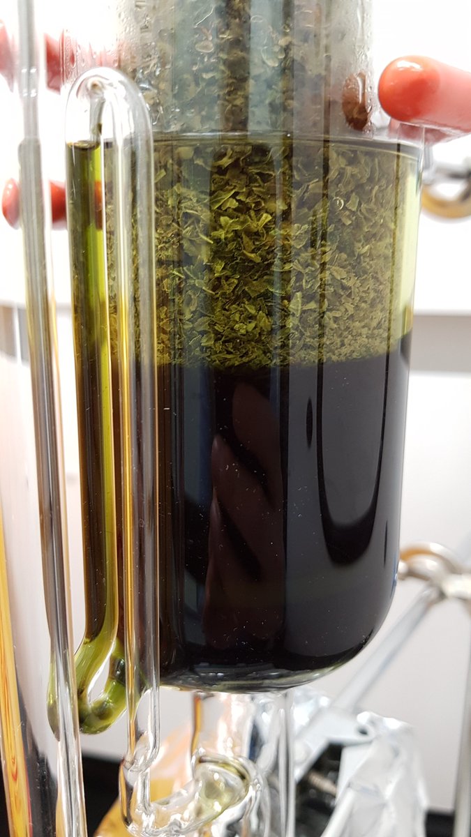 Overfilled the thimble (oops) but here's a pretty Soxhlet extraction of dried cannabis flower with anhydrous ethanol.
