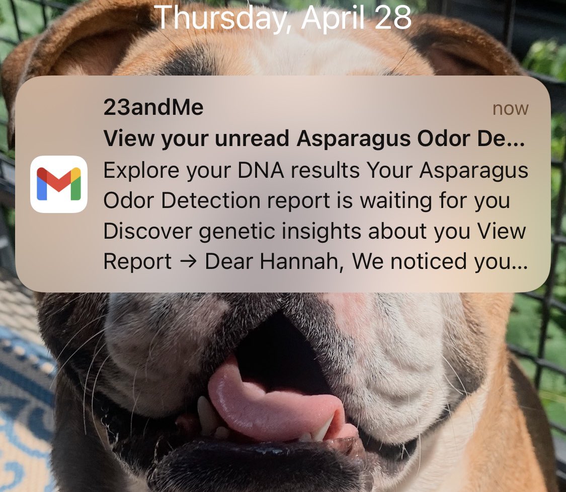hannahdotbyrd's tweet photo. I was very excited to get my 23andMe results initially, but at this point I feel like they’re making things up to keep me engaged? https://t.co/fibl3glsiE