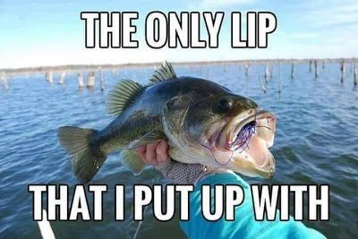 THE ONLY LIP THAT I PUT UP WITH  🐟 #Fish #Fishing #mem #funny #fishinglife