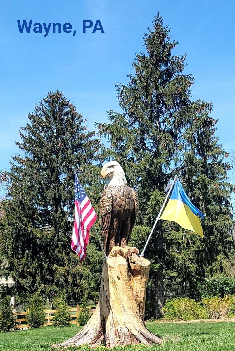 Kevin Mitchell (@btcmitchell) on Twitter photo 