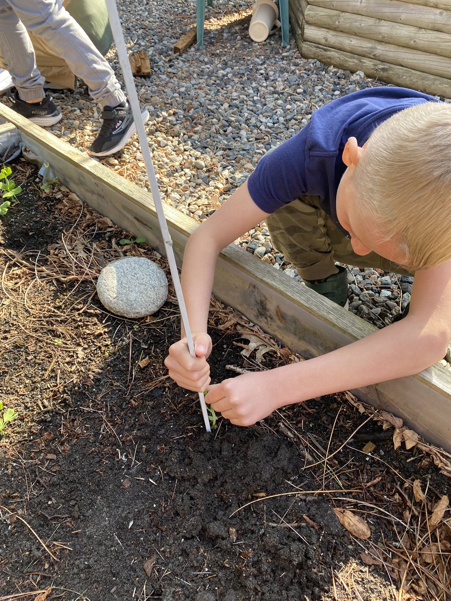 MontesConnects's tweet photo. Taking our measurement outside #sd33learns #outdooreducation #math https://t.co/qJosGJTFoh