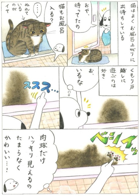 お風呂の扉越しに遊ぶ※誤字修正版 #猫 #コミックエッセイ https://t.co/Po7JoHbmi6 