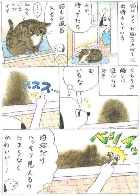 お風呂の扉越しに遊ぶ※誤字修正版 #猫 #コミックエッセイ https://t.co/Po7JoHbmi6 
