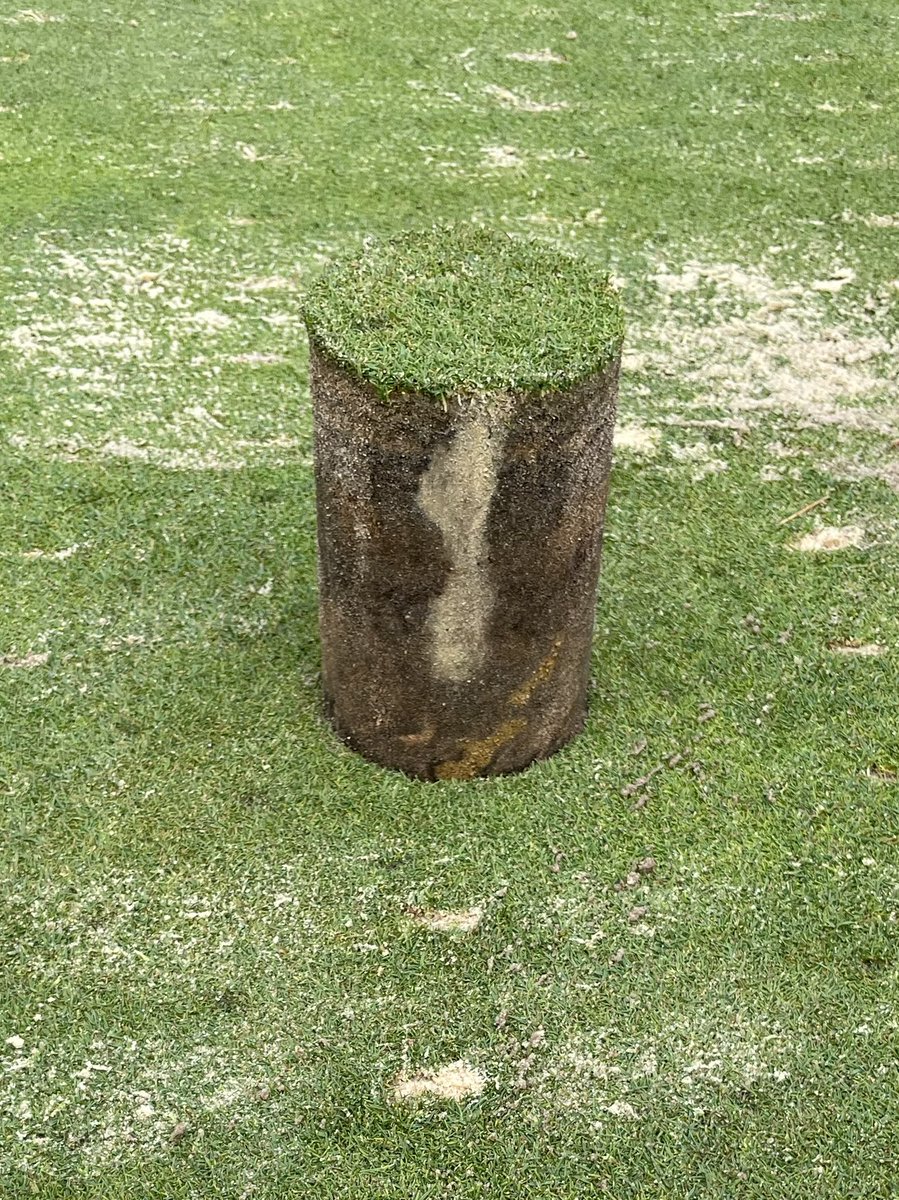 IntoGrass tweet media