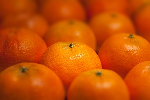 NewsFDCcl's tweet photo. Sale primer envío de cítricos chilenos con destino al mercado de  EEUU https://t.co/Vb88PpT6cO  #mandarinas #clementinas #limones #naranjas #pomelos #exportadora #productor #Chile @ComiteCitricoCL #simfruit #USA #EEUU https://t.co/XAHpcCDEgj