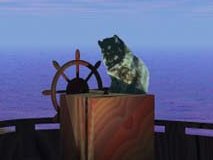 4 closeups of random scenes with a domestic cat sitting on something