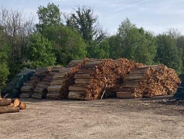 Frédéric Rouan tweet media