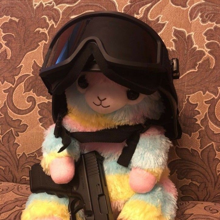 ¿Alguien quiere rol? 

[Foto para llamar la atención]