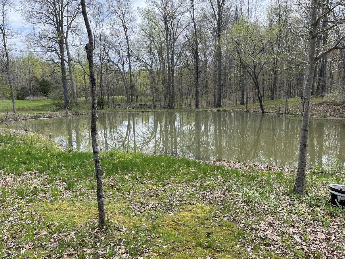 TeamAbelHomes's tweet photo. Coming Soon!! 🏡🏡
Custom Built Brick Ranch
Full Walkout Basement
3 Bed 🛌 3 Bath
4 Acres
50x40x10 Pole Barn
Stocked Pond 🎣
Morgantown
IC Schools
$499,000
317-412-0960
317-412-0959
#theabels
#yourhomegrownrealtors
#kellerwilliamsindymetrosouth
#trafalgarkw
#morgantown https://t.co/V4nzu4goE4