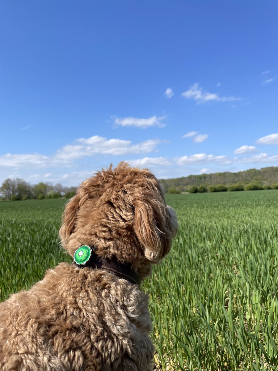 StephanvanHuis's tweet image. Woensdagmiddagrondje #holger #Spijk