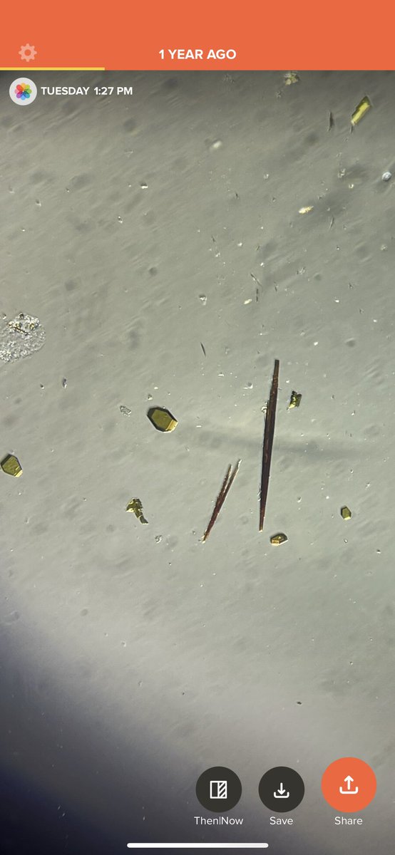 Jsperling91's tweet image. After a whole year this neptunium compound is alive and doing well #fblockrocks @TEAS_Actinides @_Nick_Beck_