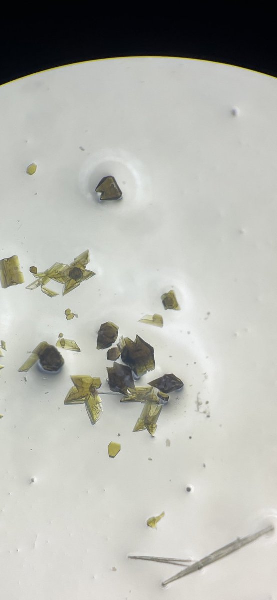 Jsperling91's tweet image. After a whole year this neptunium compound is alive and doing well #fblockrocks @TEAS_Actinides @_Nick_Beck_