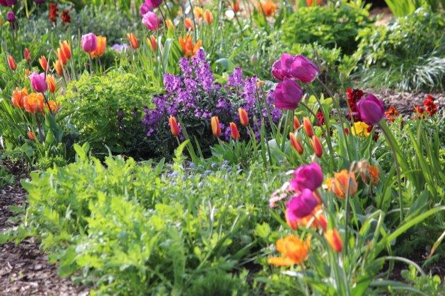 Hoe zorg je voor een vrolijke voorjaarstuin? Meer info over #voorjaarsbloeiers. tuinhappy.nl/vrolijke-voorj…