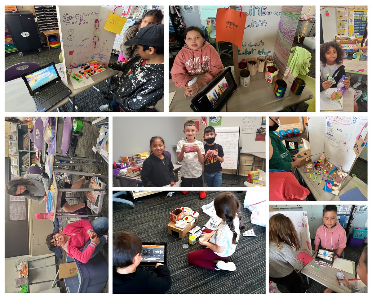 Rose Stein International tweet media