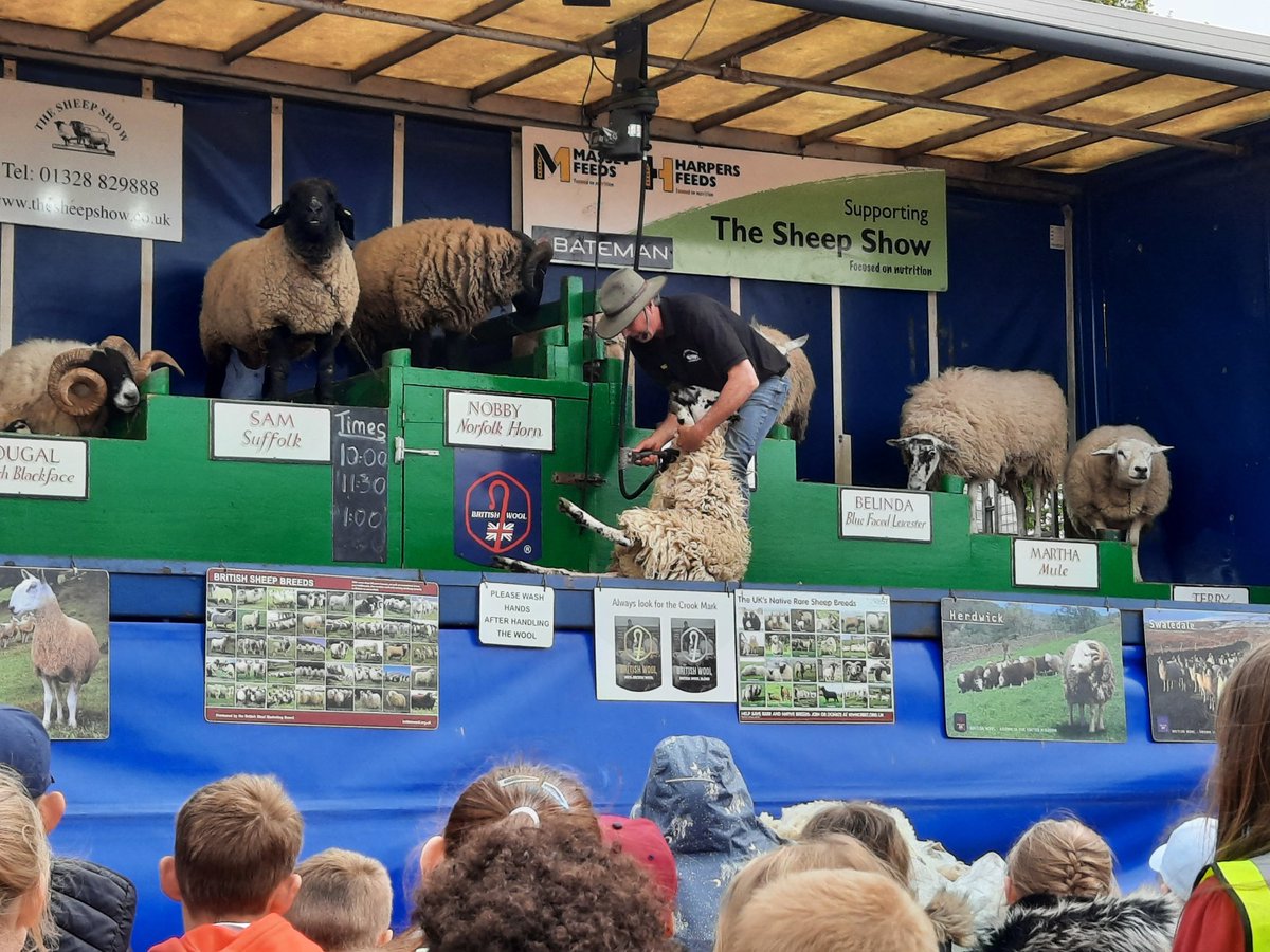 Middle phase had an amazing time <a href="/SuffolkShow/">Suffolk Show</a> <a href="/TrinityParkUK/">Trinity Park</a>