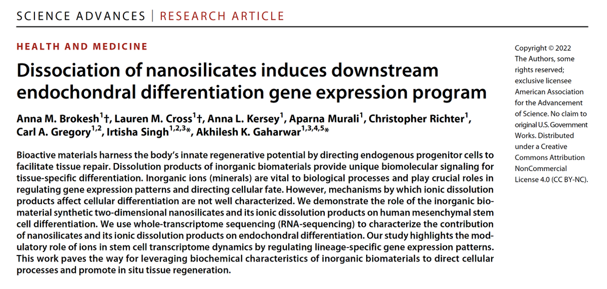Akhilesh K Gaharwar (@akgaharwar) on Twitter photo We are very excited to share our collaborative work with <a href="/Irtisha_Singh/">Irtisha Singh</a> published in <a href="/ScienceAdvances/">Science Advances</a> on understanding the role of nanosilicates in inducing downstream endochondral differentiation. Big shout-out to <a href="/AnnaBrokesh/">Anna Brokesh</a> <a href="/Lauren_M_Cross/">Lauren Cross</a> for leading science.org/doi/10.1126/sc… We are very excited to share our collaborative work with <a href="/Irtisha_Singh/">Irtisha Singh</a> published in <a href="/ScienceAdvances/">Science Advances</a> on understanding the role of nanosilicates in inducing downstream endochondral differentiation. Big shout-out to <a href="/AnnaBrokesh/">Anna Brokesh</a> <a href="/Lauren_M_Cross/">Lauren Cross</a> for leading science.org/doi/10.1126/sc…