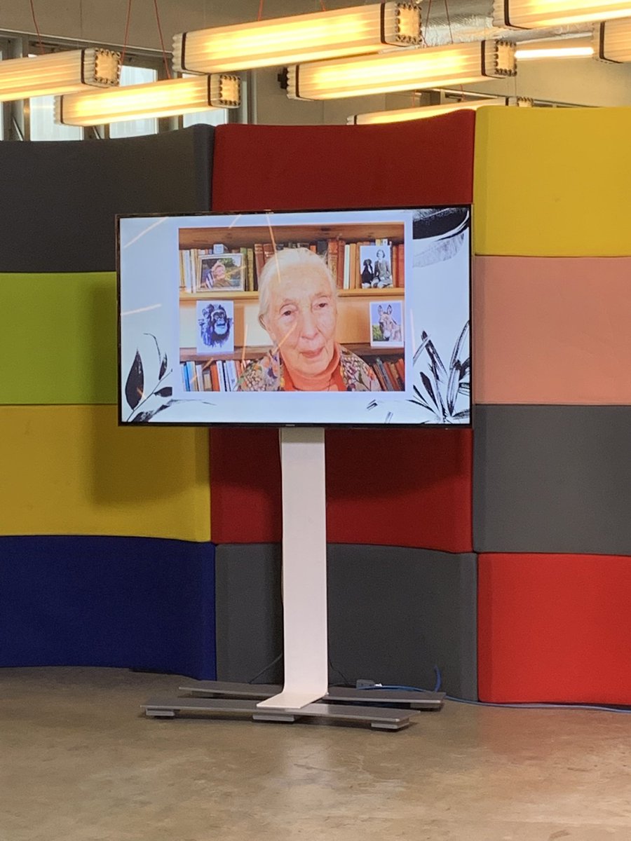 PublicisConseil's tweet photo. Évènement #PositiveTalk @publicis_france sur l'interdépendance biodiversité et entreprises 🌱🦋🌍 Entretien passionnant entre @agathebousquet et @JaneGoodallInst suivi d’une table ronde enthousiaste @brunepoirson @gillesboeuf @AntoineCadi @ArnaudGossement et Galitt Kenan. #Enjeux https://t.co/sCkpLKb9G9