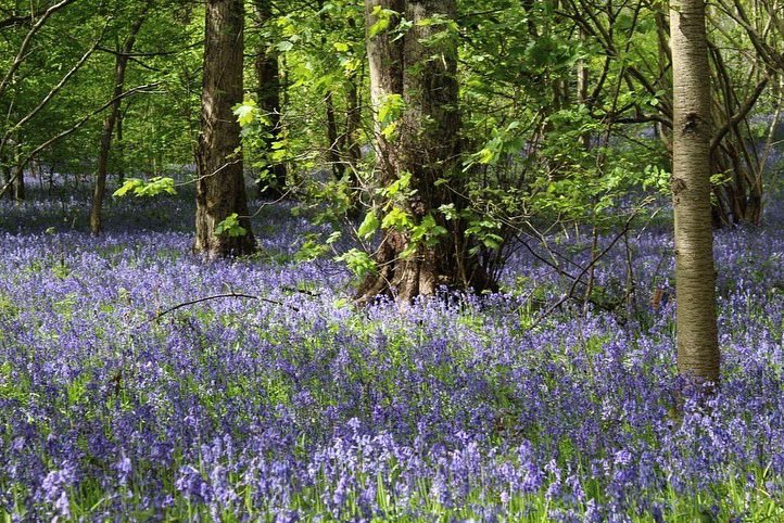 The Outdoor City tweet media