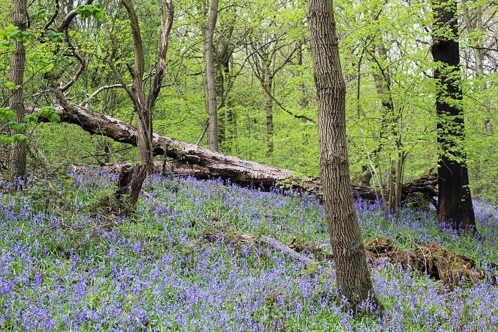 The Outdoor City tweet media