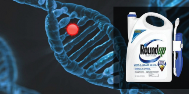 GMWatch's tweet photo. #Gyphosate Breakdown Product, AMPA, Associated with Oxidative Stress and DNA Damage Among Children https://t.co/4w9c2Mq9r1 Additional studies show 100% of adults & children have detectable levels of AMPA, with children exhibiting a 5 times higher bodily concentration than adults https://t.co/Fo5h77PV9b
