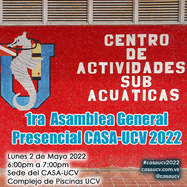 1ra Asamblea General Presencial CASA-UCV 2022
Lunes 2 de mayo
6:00pm
casaucv.com.ve/1ra-asamblea-g…