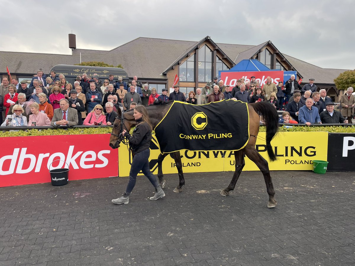 punchestownrace's tweet photo. The @ConwayPiling Grade B Handucap Hurdle goes to the Denis Cullen trained A GREAT VIEW under Mark Walsh. 

#Ptown22 https://t.co/klJ4ZwBBn3