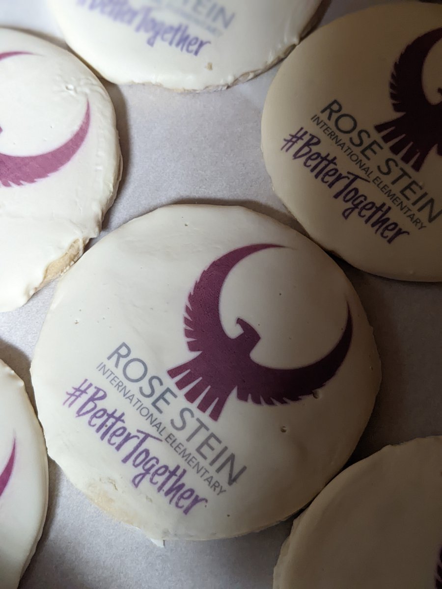 Rose Stein International tweet media