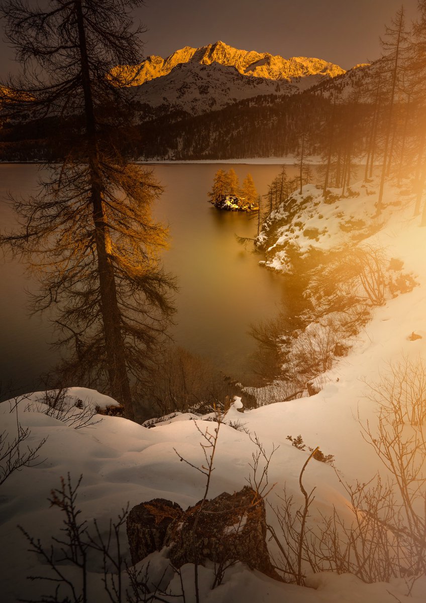 Dom 🏔🐐 tweet media