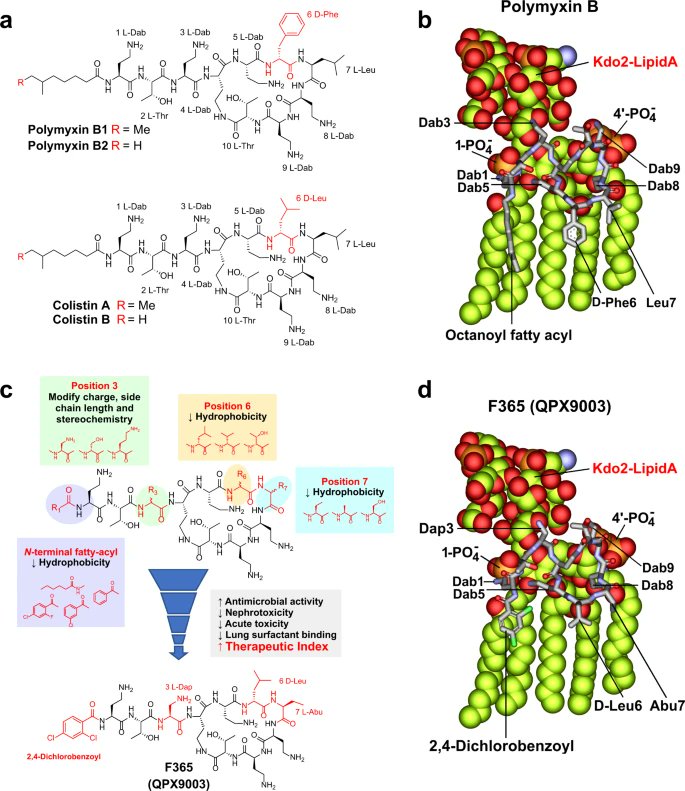 In the antibiotics pipeline
We need Antibiotics for CRAB , but Polymyxins,again?!
New Polymyxins w reduced toxicity &amp; greater antimicrobial coverage (CRAB &amp; PSA)
MRX-8:A novel polymyxin B analog
QPX9003(synthetic lipopeptide) 
A next-generation,IV-administered synthetic polymyxin