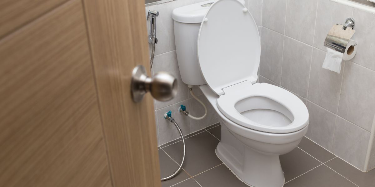 How to Fix a Toilet That Won’t Flush vlnk.io/3OITQSx