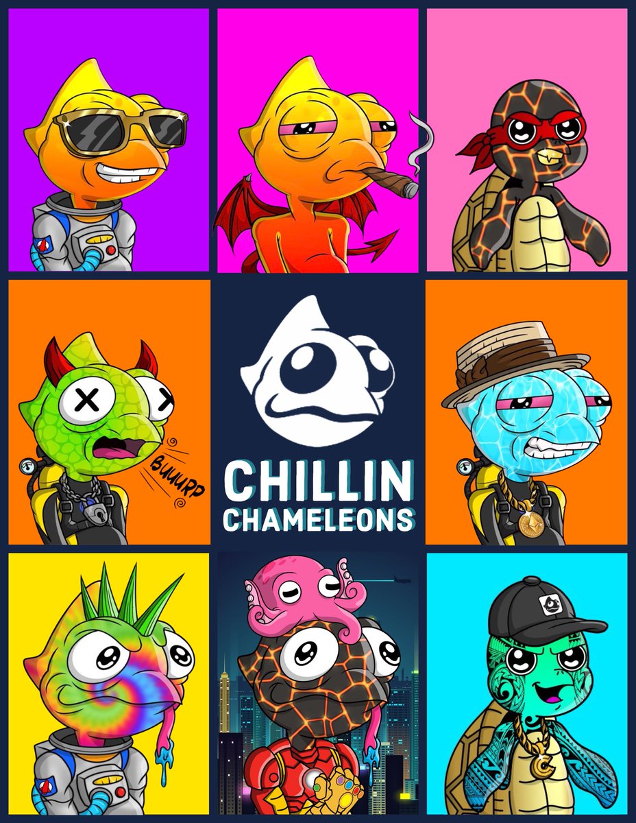 SeanWJester's tweet photo. @CryptoStorm__ @Chillnchameleon for sure. We heating up!🔥🔥🔥People are starting to realize that a strong community is built on #PurposeOverProfits Our purpose is to make this world a better place by upcycling as much plastic waste as possible into a sustainable circular economy 🌊♻️ #Chamilia https://t.co/nxTZzcEvSL