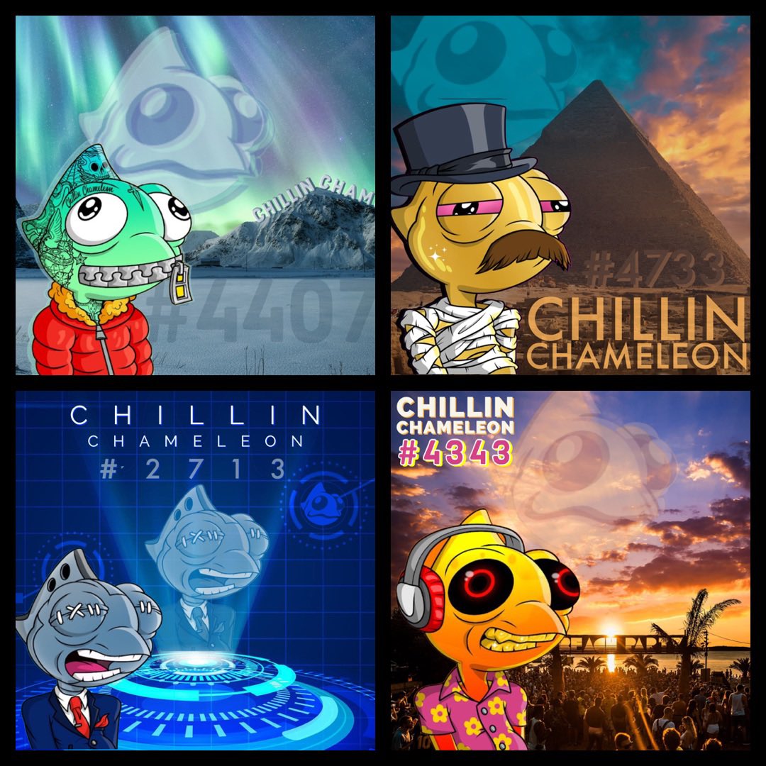 SeanWJester's tweet photo. @CryptoStorm__ @Chillnchameleon for sure. We heating up!🔥🔥🔥People are starting to realize that a strong community is built on #PurposeOverProfits Our purpose is to make this world a better place by upcycling as much plastic waste as possible into a sustainable circular economy 🌊♻️ #Chamilia https://t.co/nxTZzcEvSL