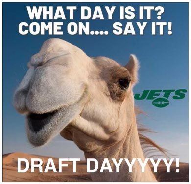 debradill's tweet photo. @nyjets @Keifoon https://t.co/Av0FkRA9Iu