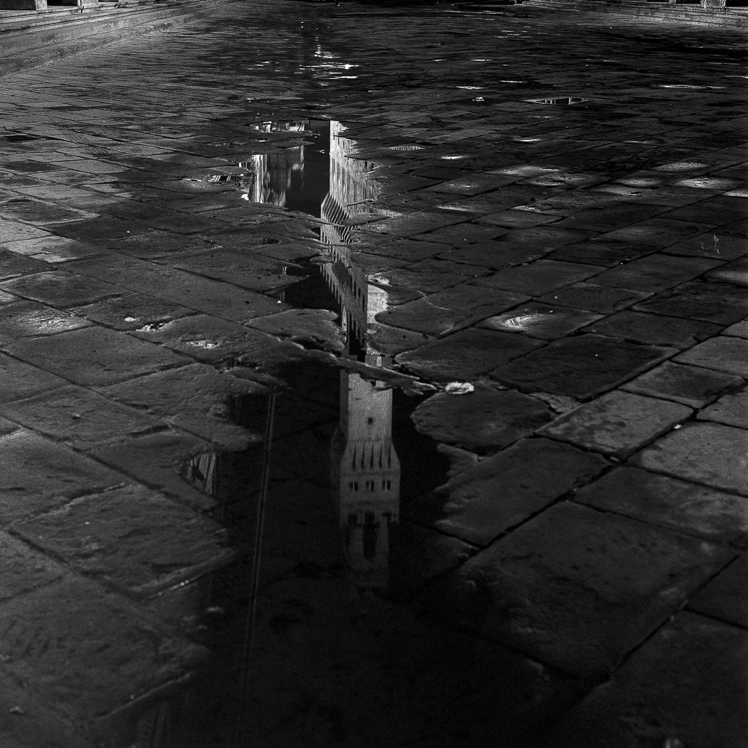 TwoFaced Magnas 🇨🇦 SOLD OUT on Twitter "RT cogito_ergo0sum 