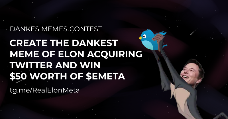 ElonMeta tweet media