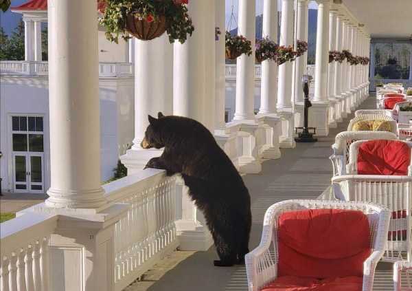 thelaceylondon's tweet photo. In six words or fewer, write a short story about this photo...

#amwriting #sixwordstory https://t.co/Sqnh4wAXJN