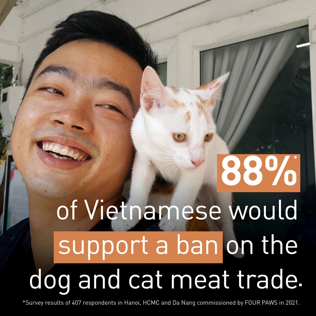 fourpawsAU's tweet photo. Vietnam is joining us to #FightForCats (and dogs)!
For many years now, we have been supporting the local community to campaign against the #DogCatMeatTrade in Vietnam. Almost everyone we know in Vietnam wants to #EndTheTrade.
Because they know #ThisIsNotVietnam π»π³. https://t.co/Ip8b32m4VI