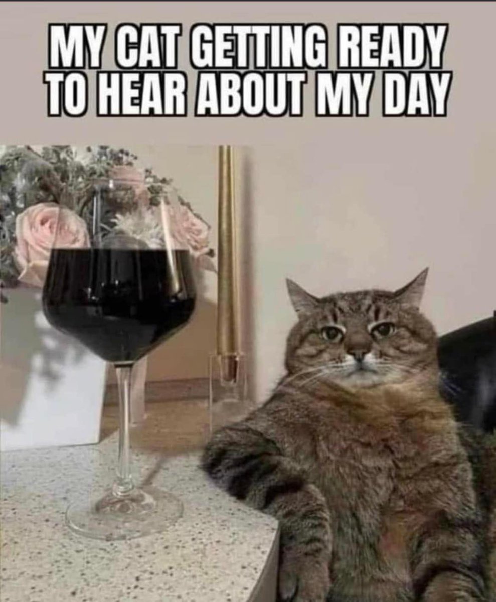 PetWineShop (@petwineshop) on Twitter photo 