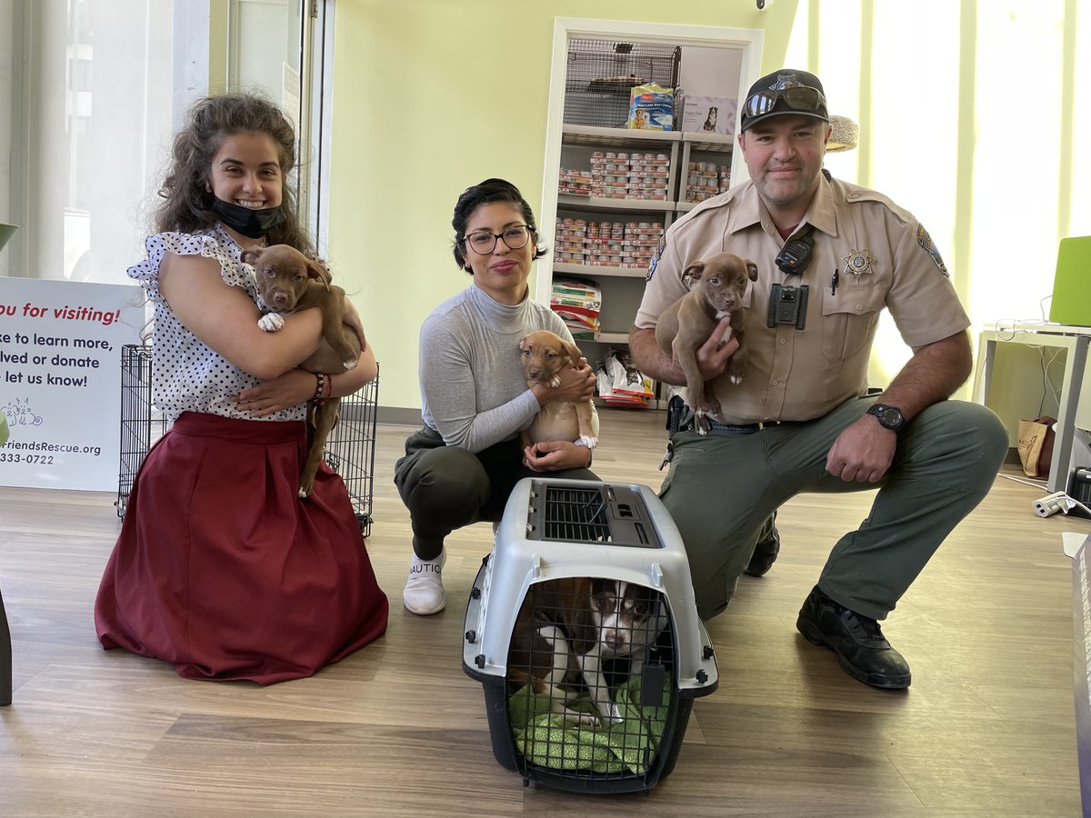 AnimalFriendsR1's tweet photo. #fosteringsaveslives We put out a call of action for fosters to help a mom dog, and her 3 puppies at the Hollister Animal Shelter and two life-saving fosters answered, thank you Danielle and Terice! What we do would not be possible without our fosters and volunteers! https://t.co/MXXpliZhY1