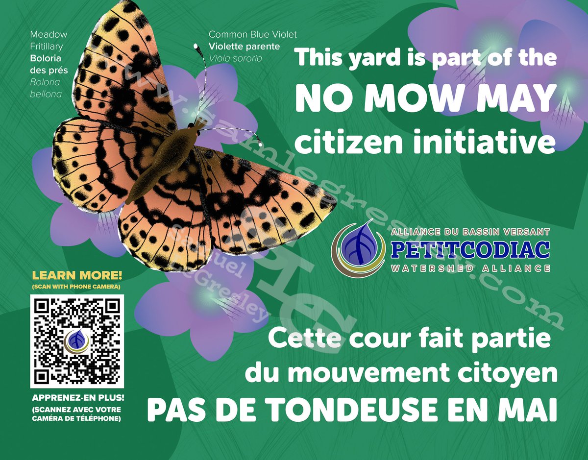 PetitcodiacWA's tweet photo. Le mois de #PasDeTondeuseEnMai est presque arrivé !  Cette année, en partenariat avec designer local @SamuelLeGresley, une affiche de ce mouvement citoyen est disponible pour notre communauté du bassin versant ! Pour vous pré-enregistrer, suivez ce lien : https://t.co/PuiBegdGDN https://t.co/Vd7FgwEUQK