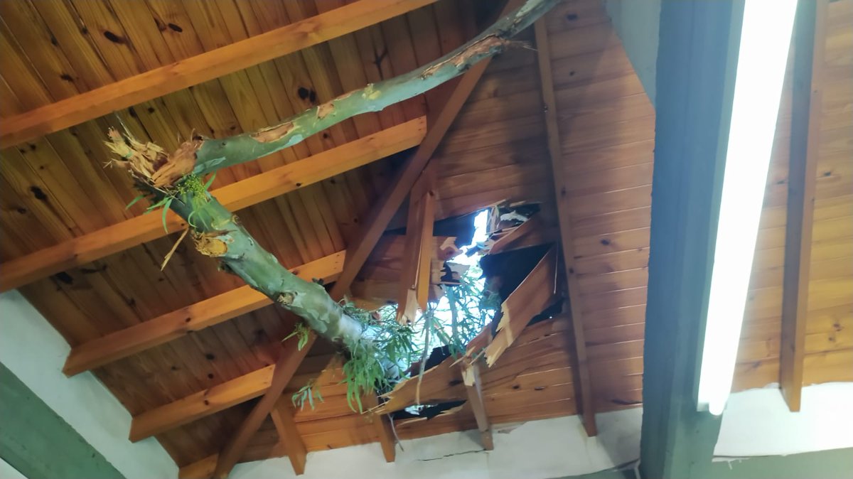 Compartimos con uds imágenes de los destrozos que provocó en nuestra Fundación el temporal de ayer. Hoy necesitamos en forma urg. algún camión que nos ayude a sacar todos los árboles que están en el campo. También para quienes puedan compartimos: 
•Alias:GEN.MEDICO.RAYO
Gracias