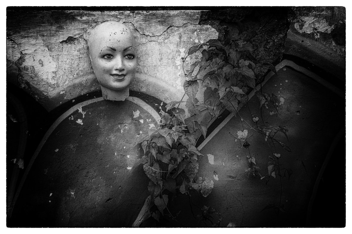 govoes's tweet image. morning buy! 

some from a thread I made a earlier this month 🥰

featuring:
@algifs 
@joannacanara 
@arifansdr 
@dilaarapak 

#nftcollector #tezosart