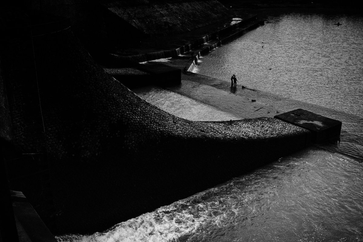 govoes's tweet image. morning buy! 

some from a thread I made a earlier this month 🥰

featuring:
@algifs 
@joannacanara 
@arifansdr 
@dilaarapak 

#nftcollector #tezosart