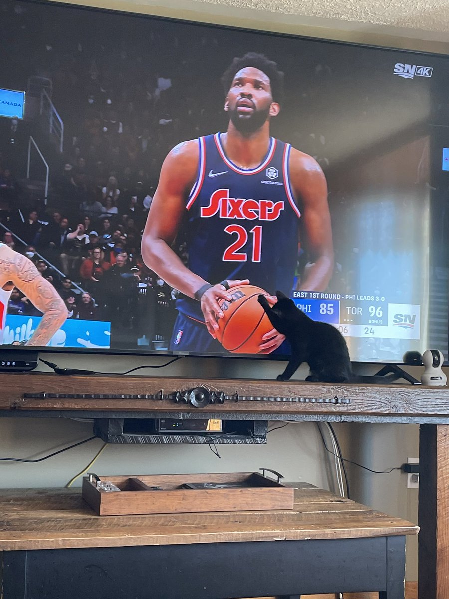 Licorice wasn’t an <a href="/JoelEmbiid/">Joel Embiid</a> fan for game 4 with <a href="/Raptors/">Toronto Raptors</a> #tangerinefanangle